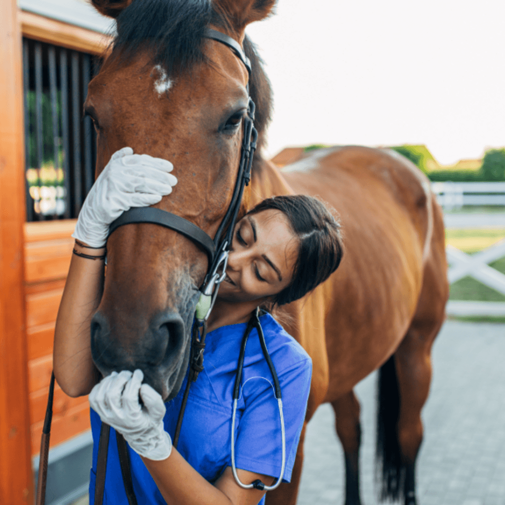 Racially ambiguous lady standing near horse petting it's head.